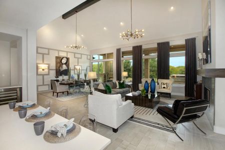 Caliterra 110's by Drees Custom Homes in Dripping Springs - photo 70 70