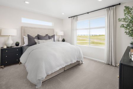 The Casitas Collection at Windler by Risewell Homes in Aurora - image 11