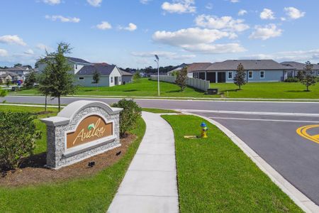 Avalon West by M/I Homes in Spring Hill - image 20