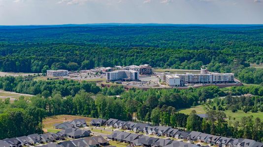 Encore at Chatham Park – Classic Series by David Weekley Homes in Pittsboro - image