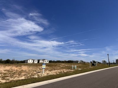 Sunset Lakes Estates by Stanley Martin Homes in Mascotte - photo 5 5