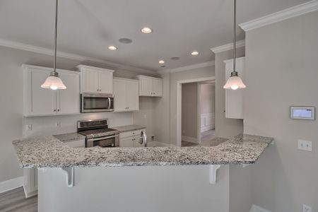 Carson's Landing by Great Southern Homes in Angier - photo 38 38