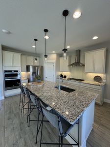 Sunfield by Pulte Homes in Buda - photo 40 40