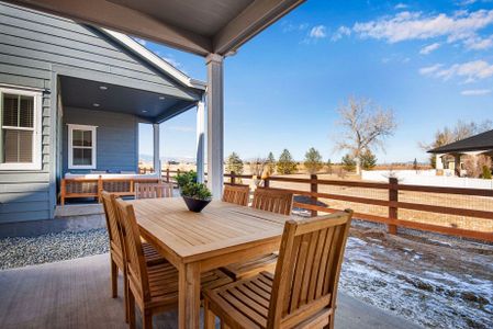 Westside Crossing Paired Homes by Tri Pointe Homes in Berthoud - photo 7 7