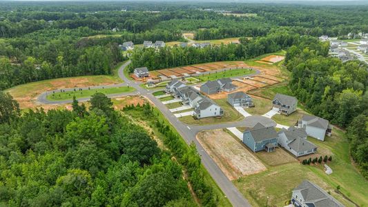 The Grove at Winston Pointe by D.R. Horton in Clayton - image