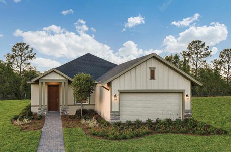 North River Ranch - Cottage Series by David Weekley Homes in Parrish - photo 25 25