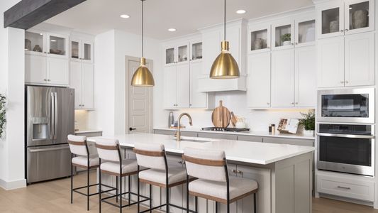 Trinity Falls 60' by Perry Homes in McKinney - image 7