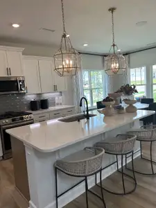 Georgias Landing by Mungo Homes in Raleigh - photo 132 132