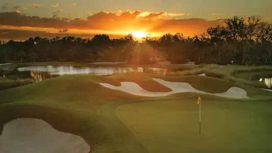 Verandah by Neal Communities in Fort Myers - image 8