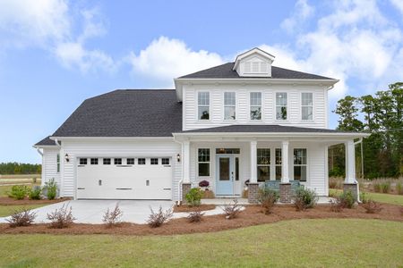 Lochton by Mungo Homes in Summerville - photo 12 12