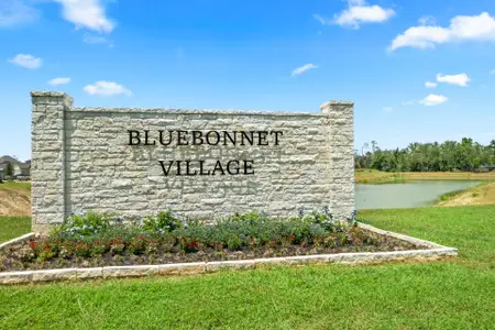Bluebonnet Village by First America Homes in Bellville - photo 0 0