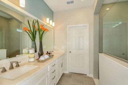 Waterset Garden Series by David Weekley Homes in Apollo Beach - photo 27 27