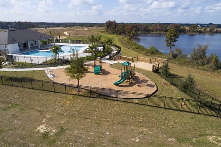 Lake Star at Ovation by M/I Homes in Winter Garden - image 3