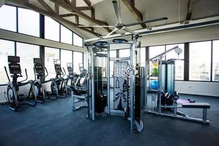 Candela South by Westin Homes in Richmond - image 9