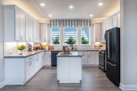 Horizon Lake 45s by Taylor Morrison in Leander - photo 15 15