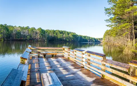 Parc at Bradley Farm by Baker Residential in Apex - image 16