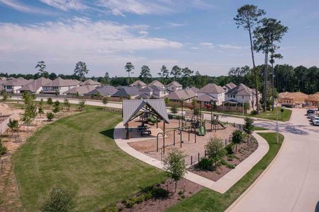 Jubilee 50′ by Tri Pointe Homes in Hockley - photo