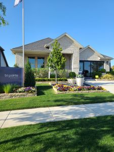 Inspiration Collection 70 at Painted Tree by Tri Pointe Homes in McKinney - photo 5 5