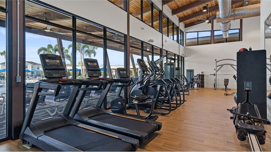 EverBe: Cottage Alley Collection by Lennar in Orlando - image 15