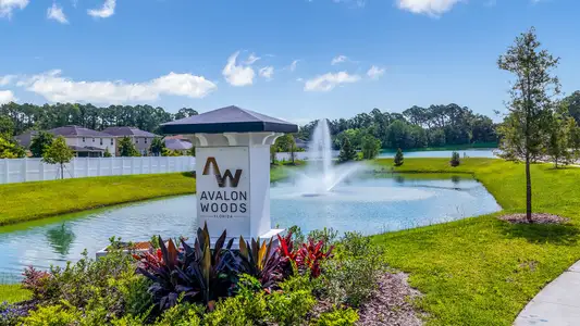 Avalon Woods by Lennar in Jacksonville - image