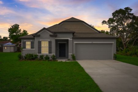 Hammock Reserve by Maronda Homes in Haines City - photo 15 15