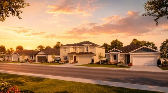 Windy Oaks by Risewell Homes in Okahumpka - image