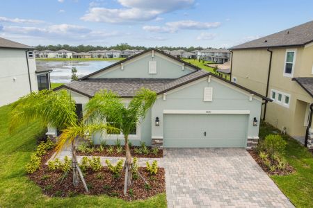 Berry Bay by M/I Homes in Wimauma - photo 36 36