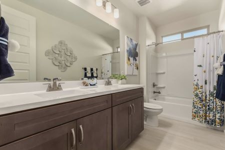Agave Springs at Teravalis by Courtland Communities in Buckeye - image 5
