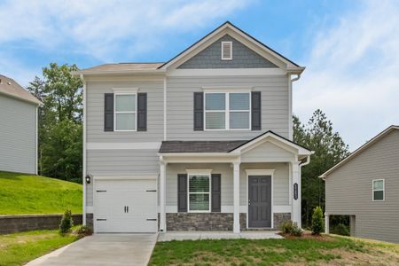Stonebridge North by Smith Douglas Homes in Macon - image