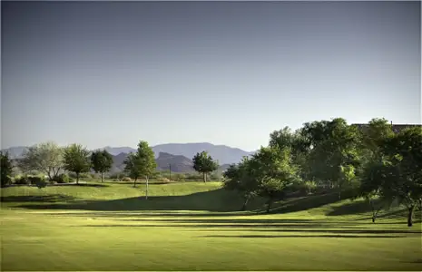 Desert Oasis - Master planned community in Surprise, AZ 9 9