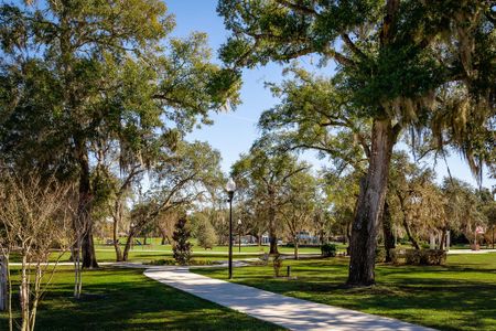 Enjoy the outdoors at Kit Nelson Park | New Homes in Apopka, FL | Landsea Homes