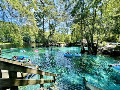 Explore Blue Springs State Park, less than 10 miles from Trinity Gardens | New Homes in DeLand, FL | Landsea Homes