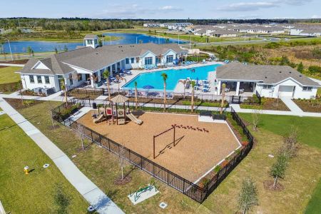Hawthorne Ranch by M/I Homes in Lakeland - image 4
