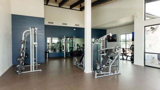 Emberly by D.R. Horton in Beasley - image 11