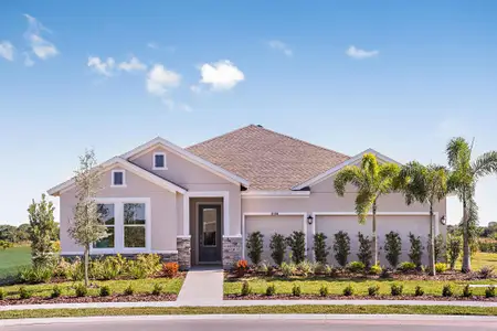 Chapel Crossings by David Weekley Homes in Wesley Chapel - photo 0 0