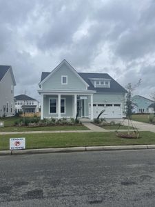 Carnes Crossroads: Row Collection by Lennar in Summerville - photo 12 12