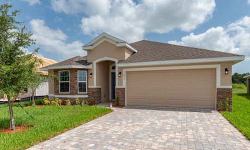 Courtyard at Waterstone by Adams Homes in Palm Bay - photo 11 11