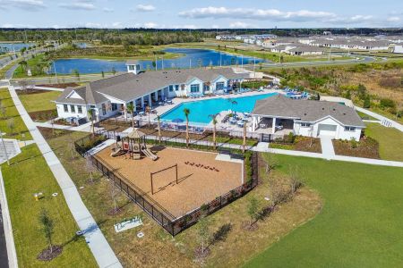 Hawthorne Ranch by M/I Homes in Lakeland - image 3