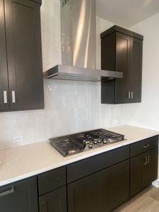 Turner's Crossing - Park Collection by Tri Pointe Homes in Austin - photo 38 38