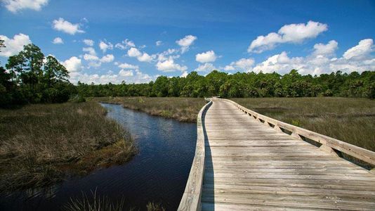 Hammock Dunes by Bellagio Custom Homes in Palm Coast - photo 22 22