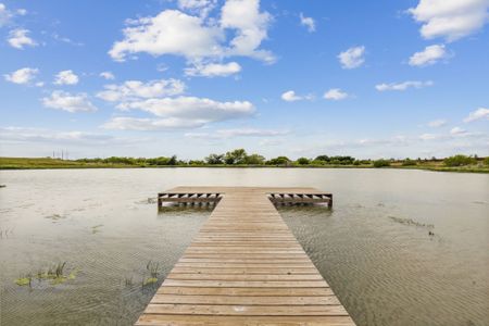 Cibolo Hills by Trophy Signature Homes in Fort Worth - photo 9 9