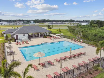 Cobblestone by M/I Homes in Zephyrhills - photo 21 21