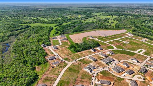 Fulbrook on Fulshear Creek: 80ft. lots by Highland Homes in Fulshear - photo 3 3