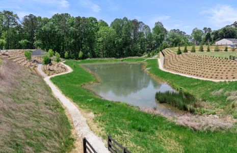 Bennett Park by Pulte Homes in Grayson - photo 3 3