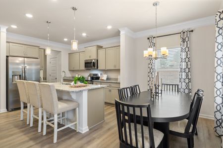 The Andros by Smith Douglas Homes in Dalton - image 5