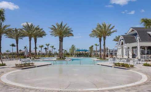 Palmera 24