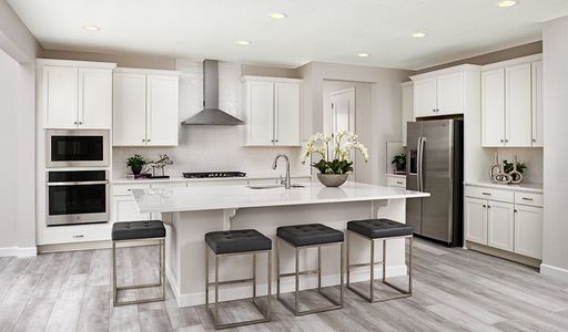 Sierra at Ascent Village by Richmond American Homes in Littleton - photo 27 27