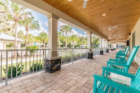 K-Bar Ranch Gilded Woods by M/I Homes in Tampa - photo 13 13