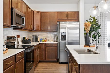 Parterre Horizon Collection 13