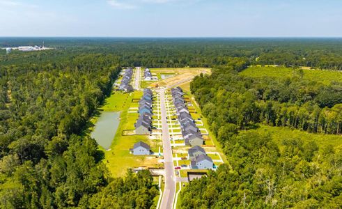 Parker's Preserve by Eastwood Homes in Ridgeville - image